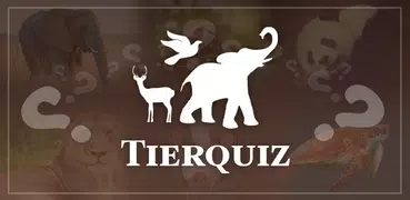 Tierquiz: Fragen und Antworten