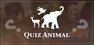 Quiz Animal