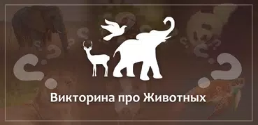 Викторина про Животных