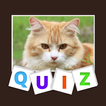 Jeux de Quiz d'Animaux