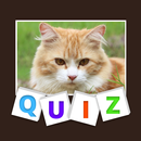 Animal Quiz APK