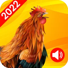 Animal Ringtones - Birds Sound APK download