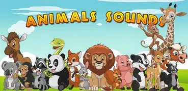 Animals names and sounds