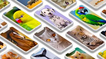 Animal wallpapers पोस्टर