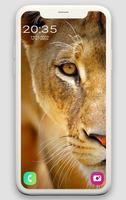 Animal wallpapers syot layar 1