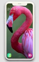 Animal wallpapers syot layar 2