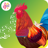 Birds And Animals Ringtones