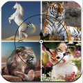 Set Alarm Animals Sound