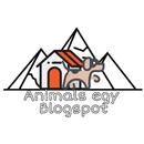 Animals Egy Blogspot APK