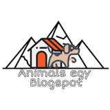 Animals Egy Blogspot icône