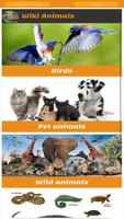 Animal Sounds & information Affiche