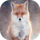 野生動物の壁紙本社 APK