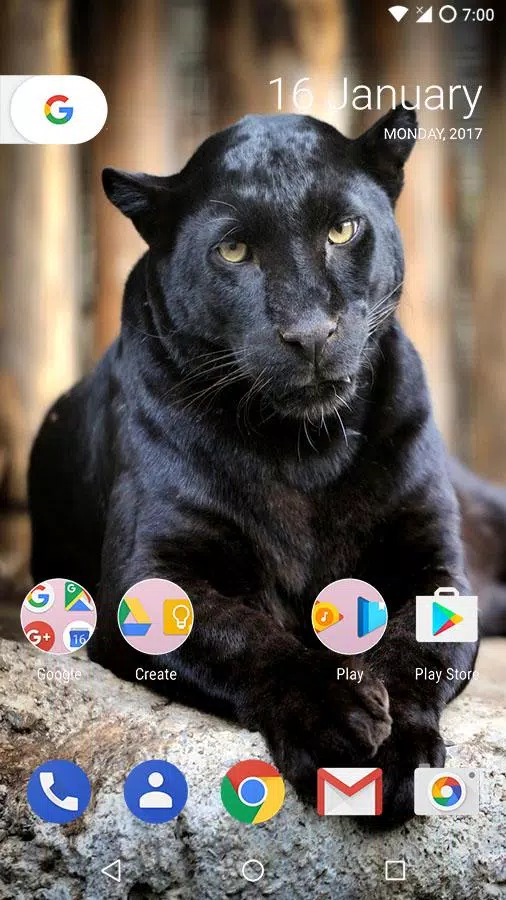 Wild Animals Wallpapers HQ APK for Android Download Wild Animals Wallpapers HQ APK for Android Download