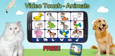 Video Touch - Animals