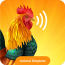 Animals Sound & Bird Ringtones APK