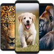 Animal Wallpapers - 4K | Live
