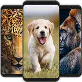 Animal Wallpapers 4K icono