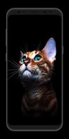 Animal Wallpapers 4K पोस्टर