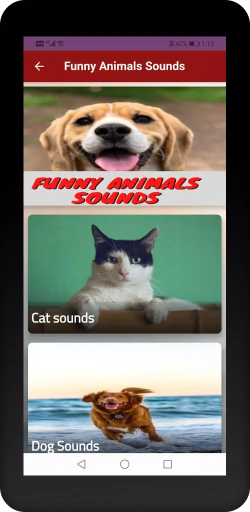 Funny Animals Sounds APK for Android Download