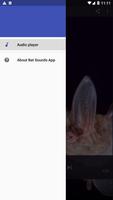 Bat Sounds App imagem de tela 1