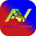 AV Box : Animal Videos Zeichen