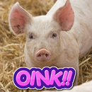 Pig Sounds Ringtones APK