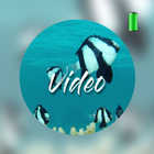 Fondos de video de animales icono