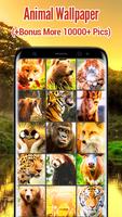 Animal Wallpapers Affiche