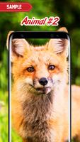 Animal Wallpapers স্ক্রিনশট 2