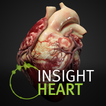 ”INSIGHT HEART