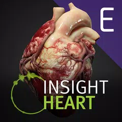 INSIGHT HEART Enterprise APK download