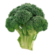 Vegetable Sticker for WhatsApp icon