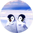 آیکون‌ Penguins Dance Live Wallpaper