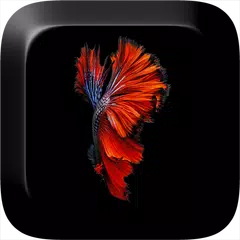 Fish 3D Live Wallpaper APK download