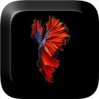 Fish 3D Live Wallpaper icon