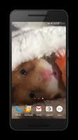 Hamster Live Wallpaper poster