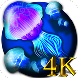 Jellyfishes 4K Live Wallpaper 아이콘