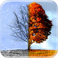 Winter and Autumn 3D Wallpaper