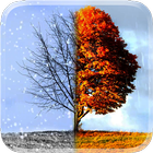 Winter and Autumn أيقونة