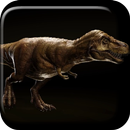 Tyrannosaurus 3D Fond d'écran APK