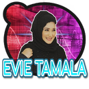 Lagu Evie Tamala Mp3 Lengkap APK