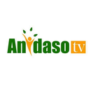 Anidaso Tv APK