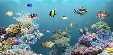 aniPet海洋水族館ライブ壁紙(無料版)