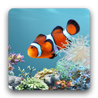 aniPet Aquarium LiveWallpaper ไอคอน