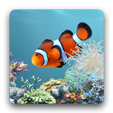 aniPet Aquarium LiveWallpaper icône