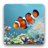 aniPet Aquarium LiveWallpaper icône