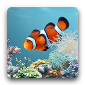 Android 用の Anipet海洋水族館ライブ壁紙 無料版 Apk をダウンロード