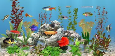 aniPet Freshwater Live WP