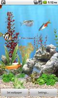 aniPet Freshwater Live WP plakat