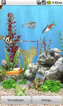 Android向けのanipet淡水魚水族館ライブ壁紙 無料版 Apkをダウンロードしましょう
